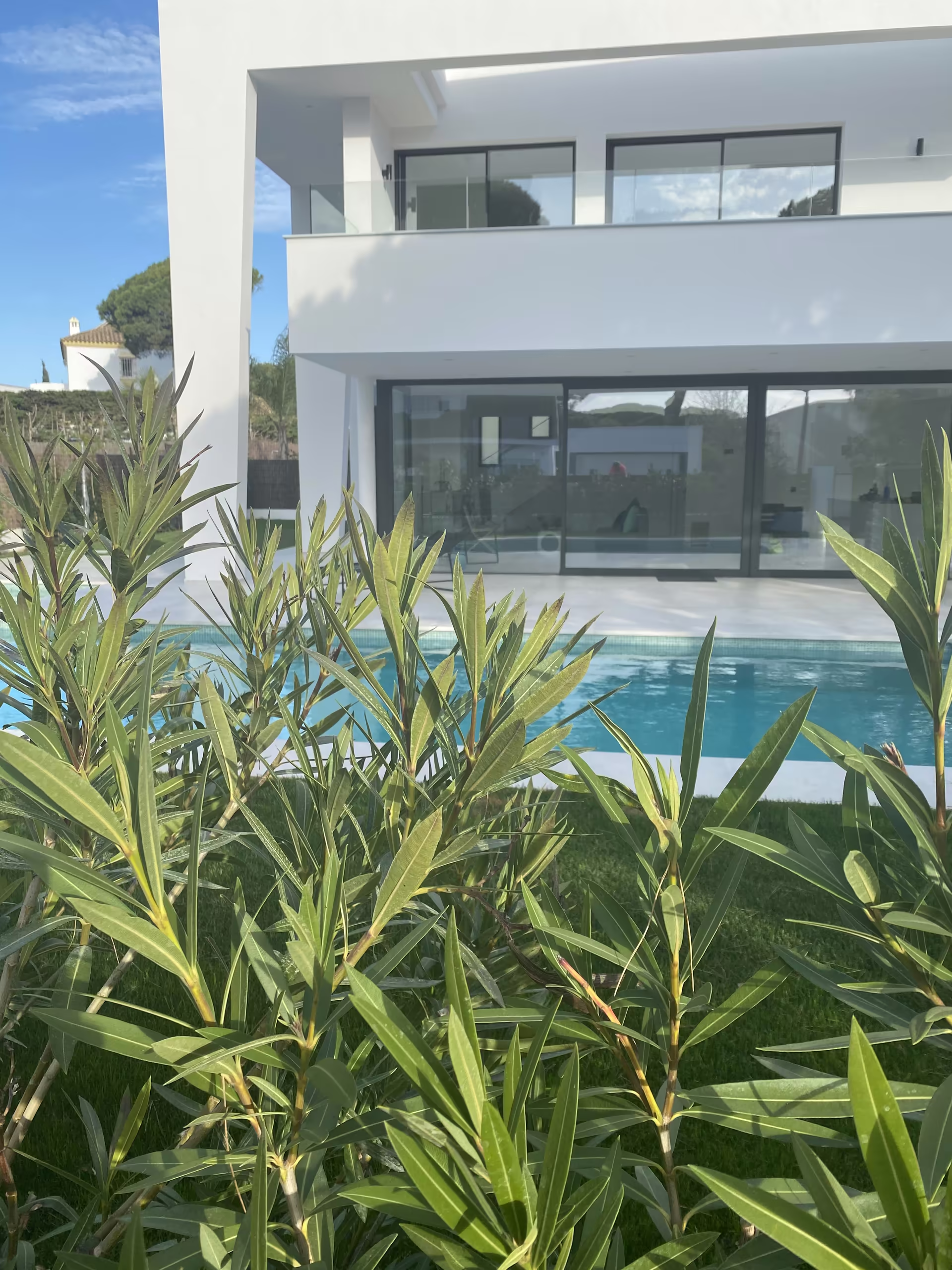 Blick &uuml;ber bl&uuml;henden Oleander auf Pool und Haus